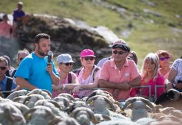 Fete-de-la transhumance